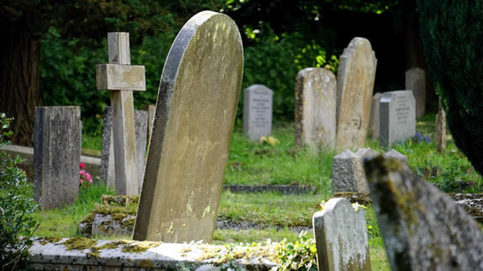 back-from-dead